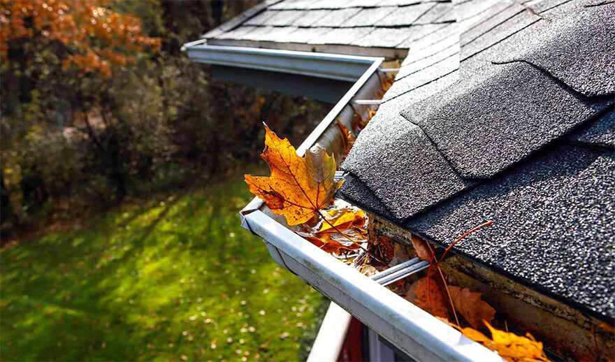 Gutters with leaves service-03